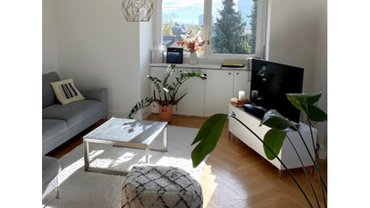 Appartement 3½ pièces à Zürich - Kreis 10 Wipkingen, meublé, durée déterminée