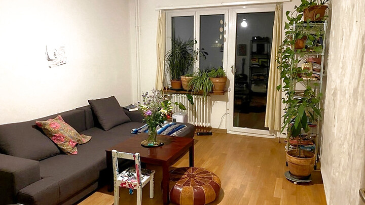 3 Zimmer-Wohnung in Zürich - Kreis 6 Unterstrass, möbliert, auf Zeit