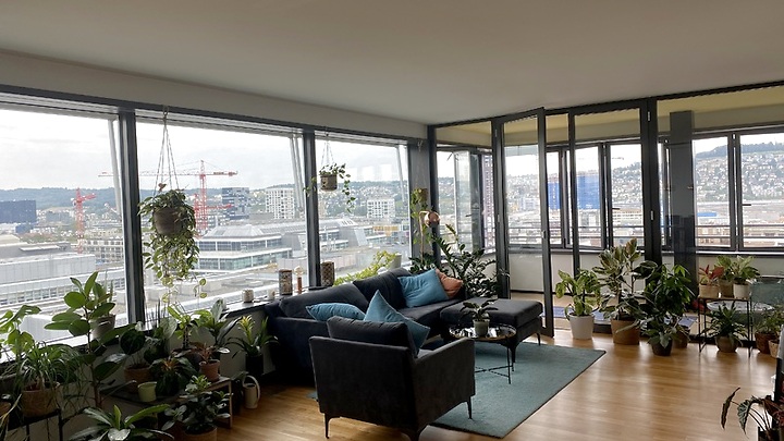 2½ Zimmer-Wohnung in Zürich - Kreis 9 Albisrieden, möbliert, auf Zeit