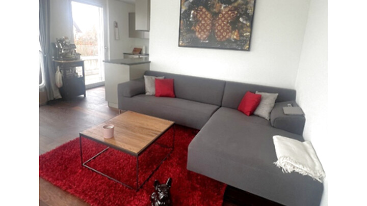 2½ room attic apartment (penthouse) in Ostermundigen (BE), furnished, temporary