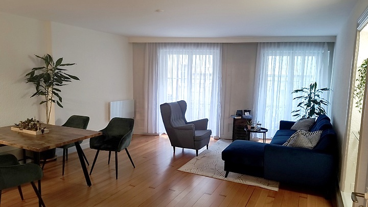 2 room apartment in Bern - Altstadt, furnished, temporary