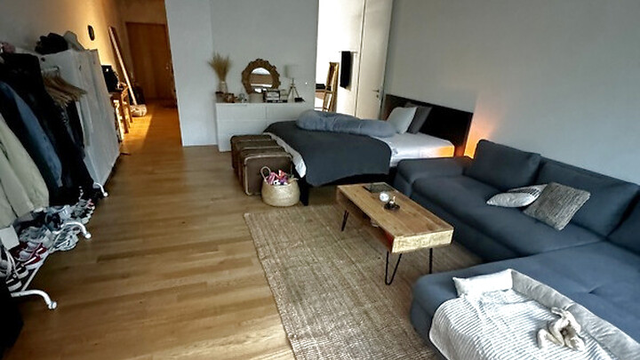 1 room apartment in Zürich - Kreis 3 Friesenberg, furnished, temporary