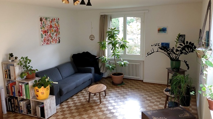 3½ Zimmer-Wohnung in Luzern, möbliert, auf Zeit