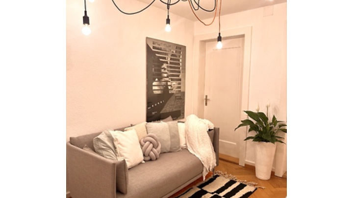 Appartement 1½ pièce à Zürich - Kreis 3 Wiedikon, meublé, durée déterminée