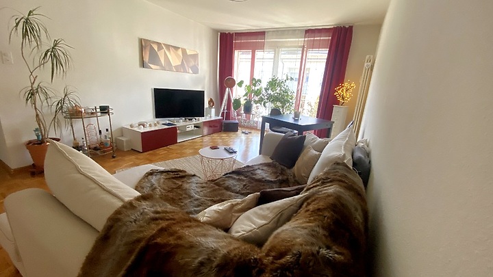 2 Zimmer-Wohnung in Basel - Gellert/St. Alban, möbliert, auf Zeit