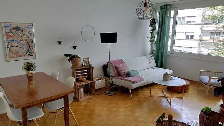 2 room apartment in Bern - Breitenrain, furnished, temporary