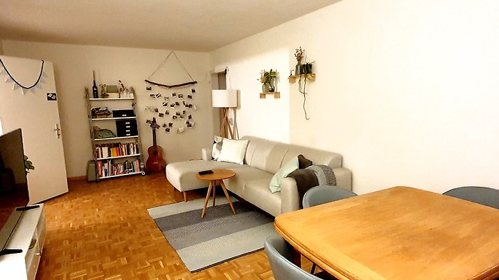 2 room apartment in Zürich - Kreis 3 Triemli, furnished, temporary