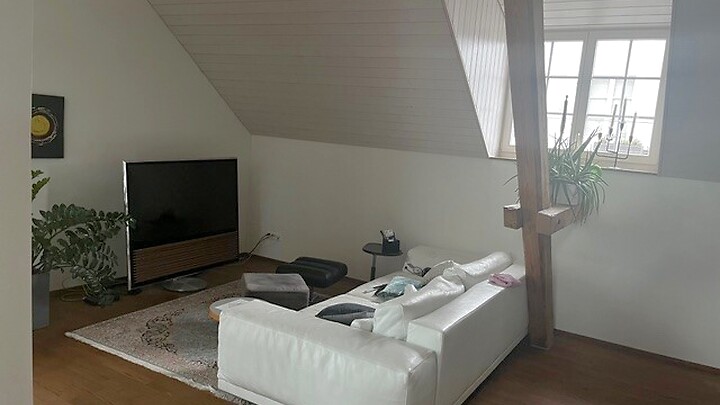 8 room house in Winterthur - Oberwinterthur, furnished, temporary