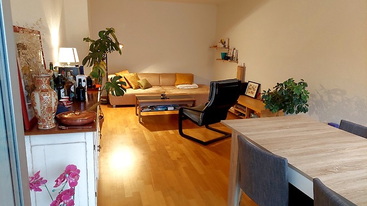 3½ Zimmer-Wohnung in Bern - Breitenrain, möbliert, auf Zeit