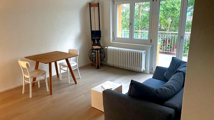 3 Zimmer-Wohnung in Zürich - Kreis 10 Wipkingen, möbliert, auf Zeit