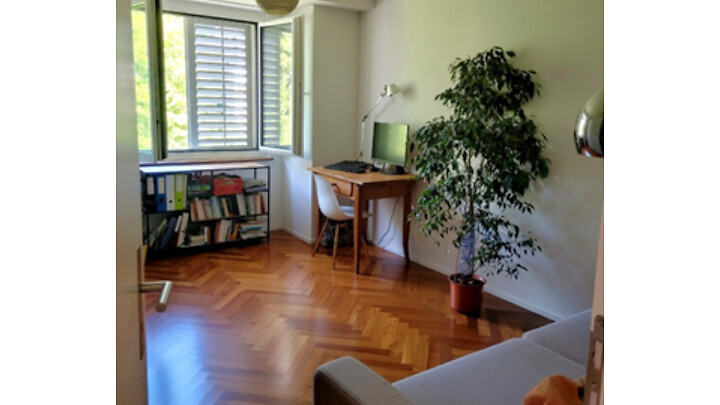 Appartement 3 pièces à Zürich - Kreis 7 Hottingen, meublé, durée déterminée