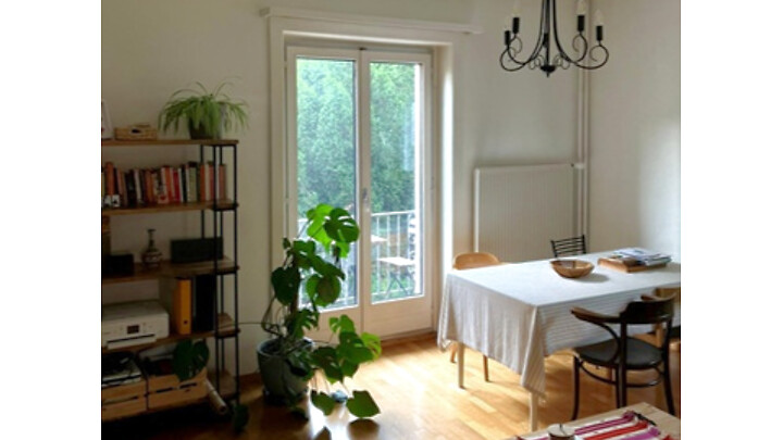 Appartement 2½ pièces à Zürich - Kreis 10 Wipkingen, meublé, durée déterminée