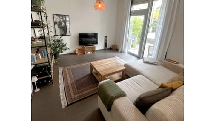 2½ room apartment in Zürich - Kreis 3 Wiedikon, furnished, temporary