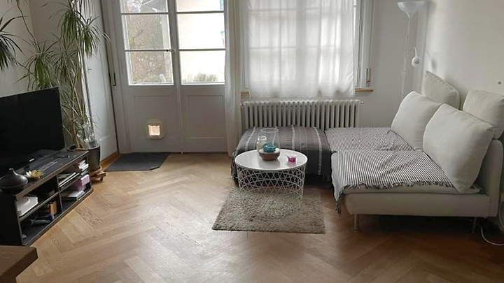 For cat lovers in Bern - Marzili, furnished, temporary