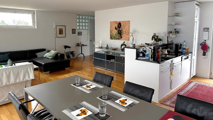 Appartement 2½ pièces à Zürich - Kreis 11 Seebach, meublé, durée déterminée