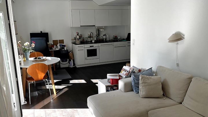 Appartement 2½ pièces à Zürich - Kreis 2 Wollishofen, meublé, durée déterminée