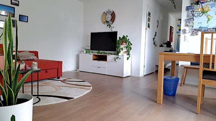 2½ Zimmer-Wohnung in Winterthur - Stadt, möbliert, auf Zeit