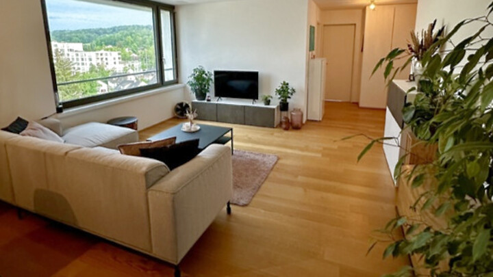 Appartement 2½ pièces à Zürich - Kreis 12, meublé, durée déterminée