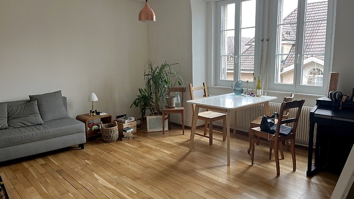 Appartement 2½ pièces à Bern - Mattenhof, meublé, durée déterminée